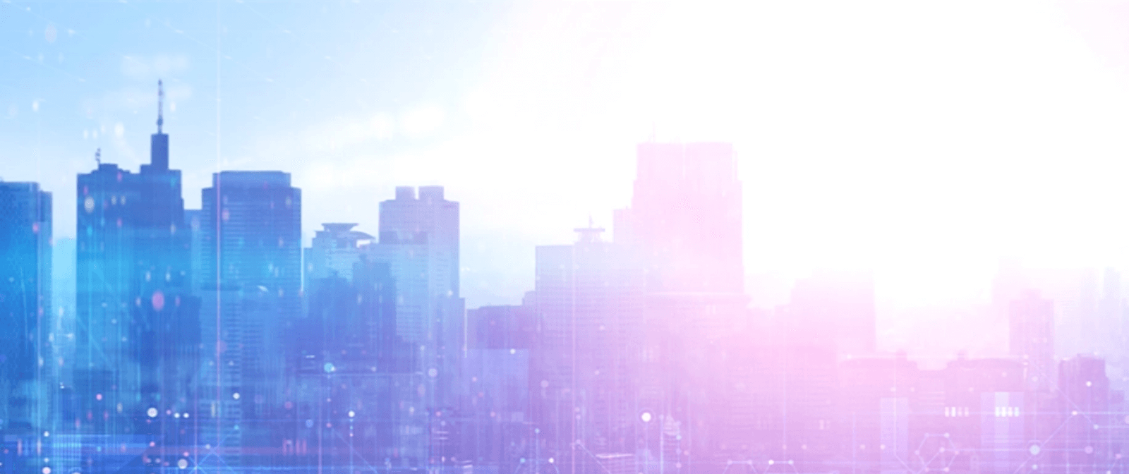 確かな専門知識